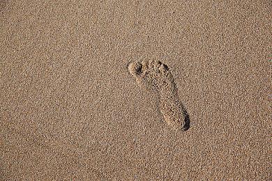 《暗黑地牢2》添加官方Mod支持 6月底之前上线